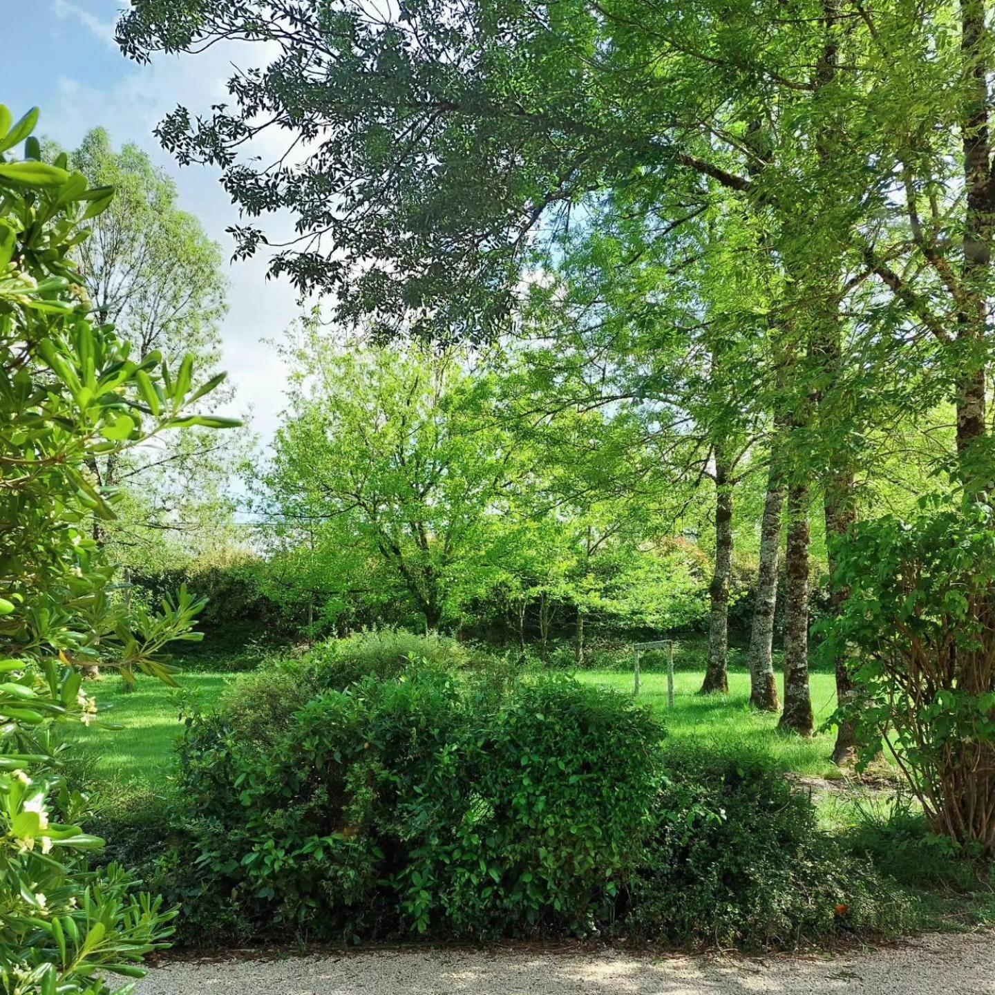Domaine Du Merlot Sainte-Sabine-Born Exteriér fotografie